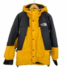 ザノースフェイス THE NORTH FACE  MOUNTAIN GUIDE JACKET GORE-TEX マウンテンガイド GORE-TEX ゴアテックス メンズ import：L 