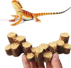 2024年最新】爬虫類木製ケージの人気アイテム - メルカリ