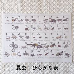 chon ama プロフィール必読です！ - メルカリShops