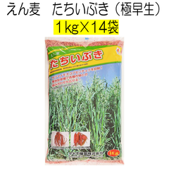 えん麦種子　たちいぶき　14kg　タキイ種苗【種】緑肥の種　サツマイモの前作　センチュウ対策