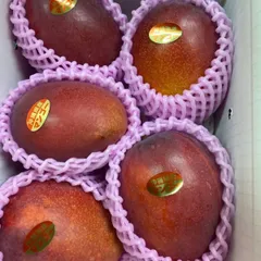 沖縄県産マンゴー1.5Kgのサムネイル