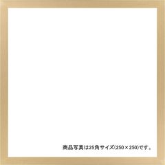 ★ デッサン額 正方 桜平型 ゴールド 25角250×250 アクリル 948