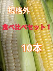 規格外 食べ比べセット！ 10本(黄色、白色) クール便