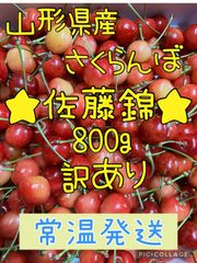 山形県産さくらんぼ「佐藤錦」800g 訳あり