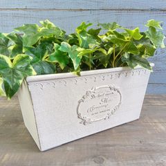 ガーデニング雑貨 植木鉢 プランター 樹脂ポット プラスチック鉢 鉢 鉢カバー ガーデン雑貨 ガーデニング 雑貨 アンティーク ナチュラル おしゃれ かわいい FLOWER2 ミュルティコロールワイド YZ-MS736-80