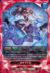 2025年最新】グラブル TCGの人気アイテム - メルカリ