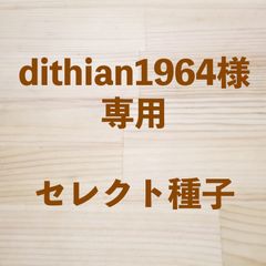 dithian1964様専用　セレクト種子　200粒