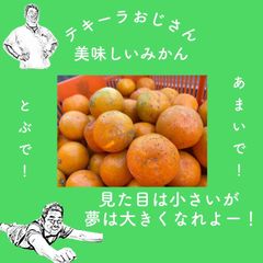 有田みかん　B品訳あり　2キロ
