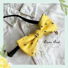 Item thumbnail for item 2175ea6a-127b-4c5e-9e8e-45b8ae56215f