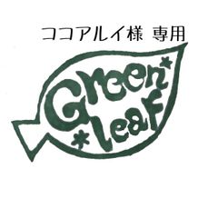 ポーチュラカ♡ピンキー3号ポット②