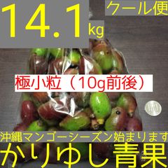 沖縄県産マンゴー