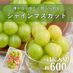 【種無し・皮ごと】シャインマスカット 1房入り 約600g 大房 化粧箱　葡萄　ぶどう