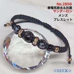 No.2856静電気除去《ブラックルチル&スノーフレークオブシディアン》ブラック