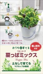 マグカップ水栽培　ハーブ野菜シリーズ「菜っ葉ミックス　」（送料込）
