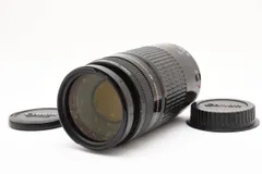 ★ キヤノン Canon EF 75-300mm F4-5.6 USM★ #1547AW44