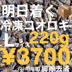 Item thumbnail for item 203f783e-0818-4312-a166-af7270a41e6f