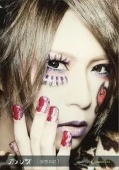 【中古】生写真(男性) カメレオ/HIKARU./顔アップ/CD「妄想日記」CROSS CAT特典アーティストフォト