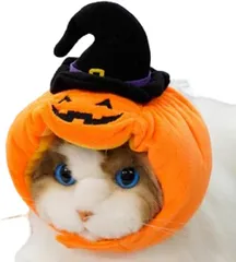 コスプレ イヌ ネコ 帽子 キャップ ハロウィン コミケ クリスマス イベント パーティー 仮装 発表会 
