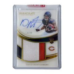 Item thumbnail for item 17c5031e-720a-4247-a411-155f59864396