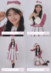 乃木坂 サンタ 4種コンプ 生写真 乃木坂 サンタ 4種コンプ 生写真 乃木坂46 OFFICIAL WEB SHOP