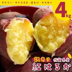 訳あり さつまいも 紅はるか 4kg 佐賀県産 未選別 詰合せ 家庭用 福祉事業所直営農園栽培【5】