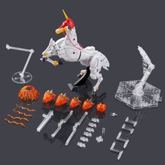 【新品未開封】RG 1/144 ゴッドガンダム用 拡張セット　ガンプラ　プラモデル　模型　バンダイ　プレバン　プレミアムバンダイ