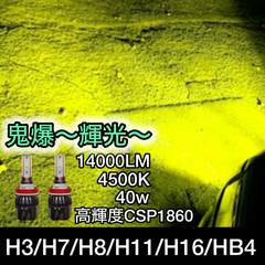LED フォグランプ バルブ H3 H7 H8 H11 H16 HB4 汎用 後付け グリーン 緑 4500k