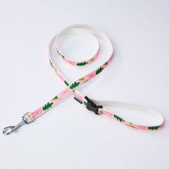 Item thumbnail for item 4fbe5c8b-0e02-452d-8760-5552538e5536