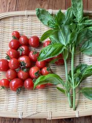 【農薬・化学肥料不使用】朝採れミニトマト&バジル
