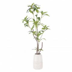 Item thumbnail for item dd4be8c0-6e56-40c8-befc-192f8b5b1bea