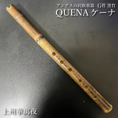 風工房のケーナ　G管　布ケース付き 楽天市場】ケーナ ケースの通販