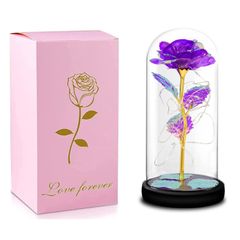 Item thumbnail for item e5b1391a-d685-40ce-a2c1-577d4cc011fb