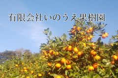 shop-thumbnail