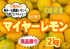 【訳あり】マイヤーレモン2㎏/レモン　国産レモン　みかん　きんかん　果物　蜜柑