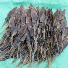 西海水産 干しほたるいか 200g | おつまみ 珍味 【常温便】