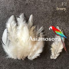 ❤️【F2アイボリー】高品質 羽根 フェザー ハンドメイド 素材 パーツ 鳥の羽根
