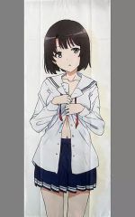 [중고] 수건·수건(캐릭터) 가토 메구미 비주얼 크로스 [이치반 복권 그리워하지 않는 그녀의 키우는 방법 제2탄] B상
