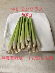 『安心のメルカリクール便』生レモングラス500g 無農薬栽培　＋お試し生葉