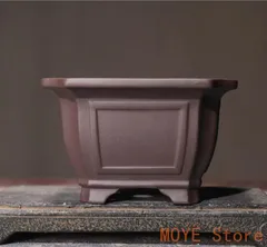 2025年最新】盆栽鉢 中国の人気アイテム - メルカリ