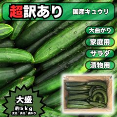 きゅうり 20キロ 20kg 農家直送 新鮮野菜 キュウリ 胡瓜 宮崎県産 きゅうり 1キロ 1kg 胡瓜 キュウリ 宮崎県産 新鮮野菜 - メルカリ
