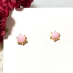 当店人気商品 随時入荷中☆新品☆