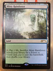 MTG 霧深い雨林 英語 4枚セット MTG 霧深い雨林 4枚セット misty_rainforest.jpg