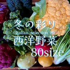 冬の彩り 西洋野菜アソート 80サイズ 野菜セット 野菜詰め合わせ