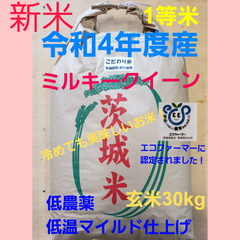 新米　令和4年度　茨城県稲敷市産　こだわり米　ミルキークイーン　玄米30kg