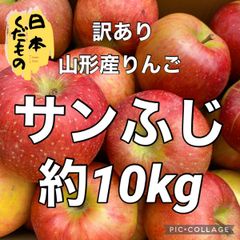 10kg　サンふじ　訳あり　家庭用　箱重量込み　商品説明お読みください。
