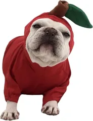 Electric Circus 犬服 りんご ハロウィン クリスマス仮装 コスプレ コスチューム イベント パレード 猫 小型犬 犬の服(レッド,  M)
