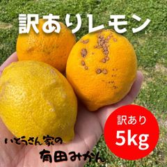 【訳あり】 ずっしり重い!!国産レモン　5キロ　32～40玉のサムネイル
