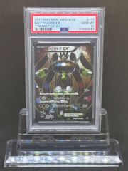 PSA10 ジガルデEX 177/171 THE BEST OF XY ポケカ Pokemon Zygarde EX Holo 177/171 XY The Best of XY Japanese