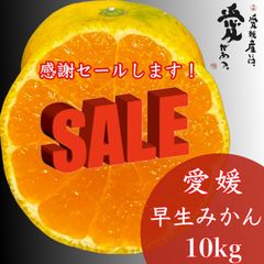 愛媛産　宮川早生みかん　家庭用10kg感謝セール！　小玉ミックス！