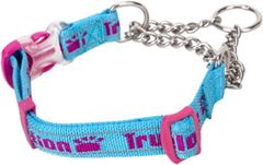 Item thumbnail for item 6308b149-9196-480d-a16e-386669cfec72